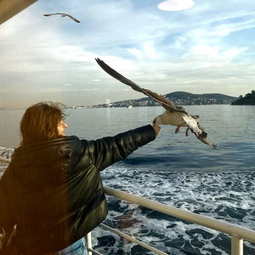 Photo #13355562