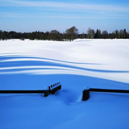 Photo #13355573