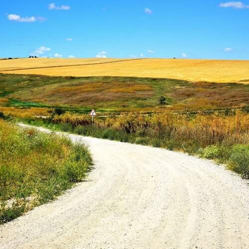 Photo #13355576