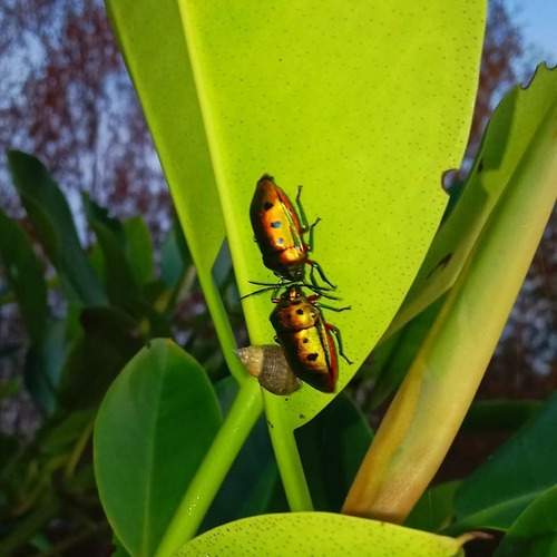 Photo #13355633