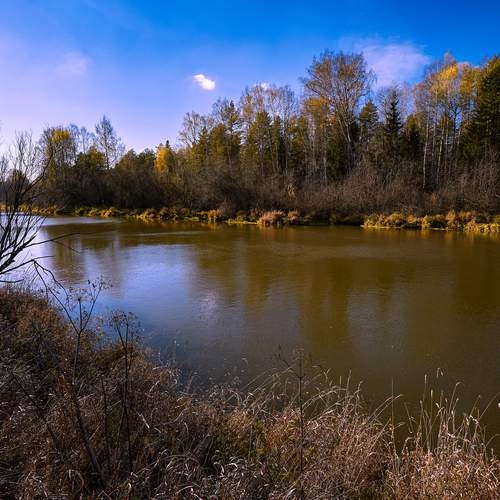 Полдень у осенней реки.