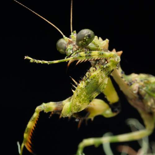 Фотография #13355727