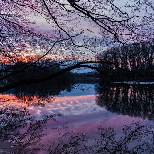 Photo #13355780
