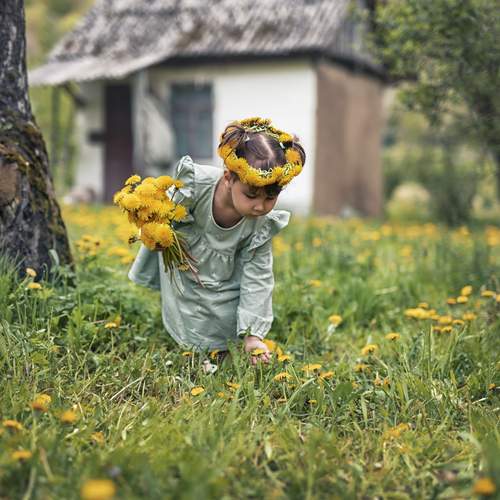 Photo #13355814