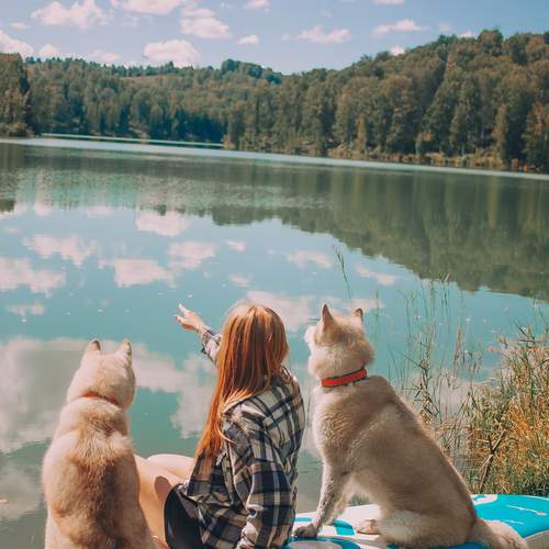 Photo #13355847