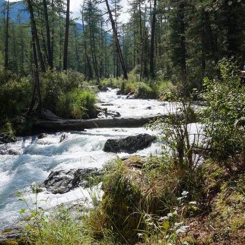 Photo #13355868