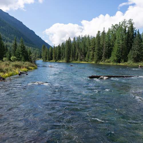 Photo #13355875
