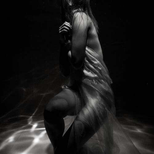 Photo #13355925