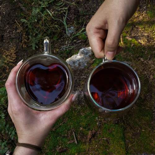 Photo #13356011