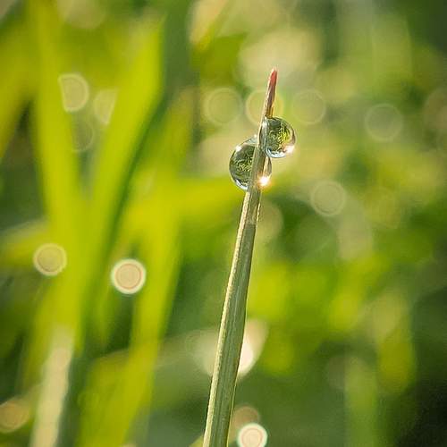 Photo #13356012
