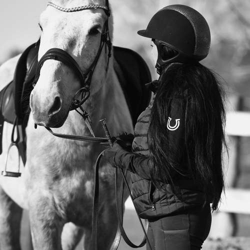 Photo #13356157