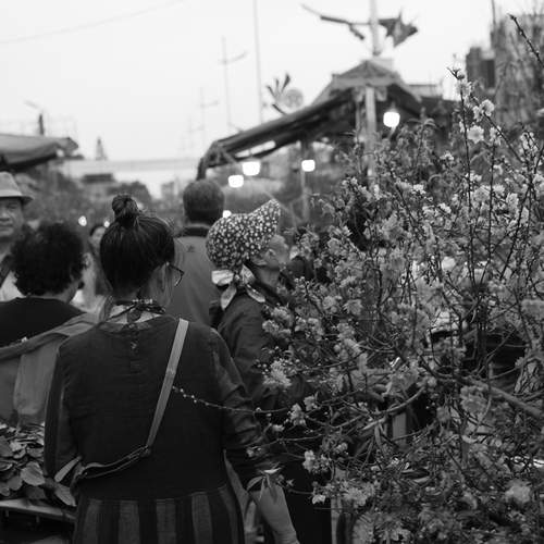 Photo #13356182
