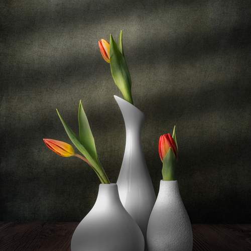 Фотография #13356260