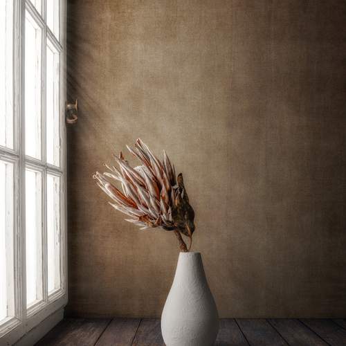 Фотография #13356270