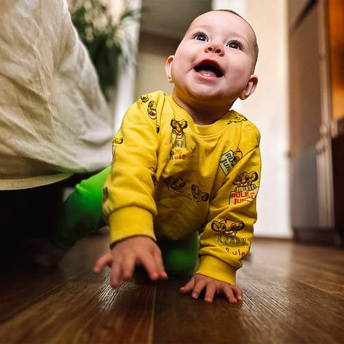 Photo #13356275