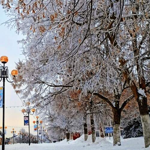 Зимняя аллея