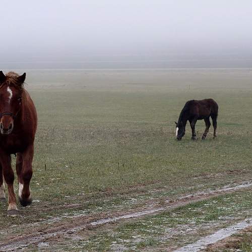 Photo #13356359
