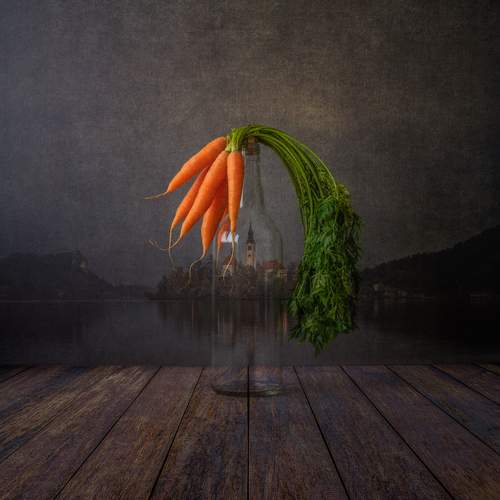 Фотография #13356375