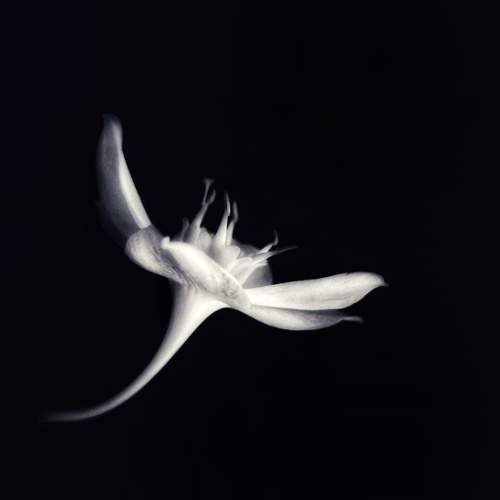 Photo #13356437