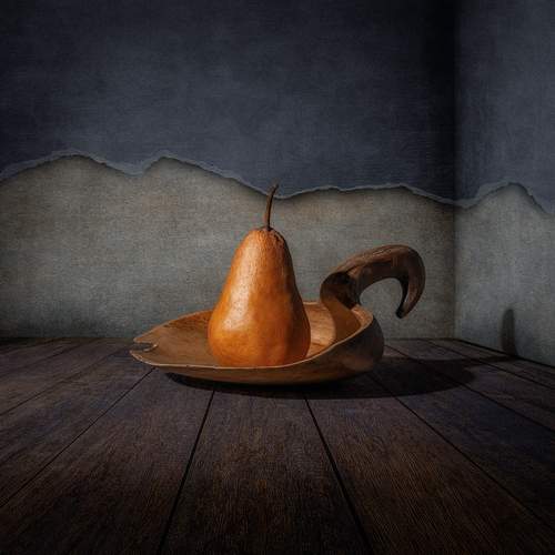 Фотография #13356470