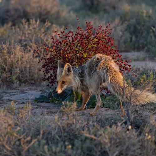 Photo #13356474