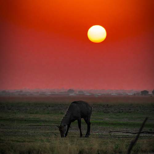 In the light of the Sun......