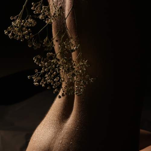 Photo #13356647