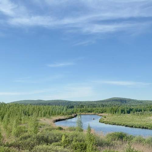Photo #13356790