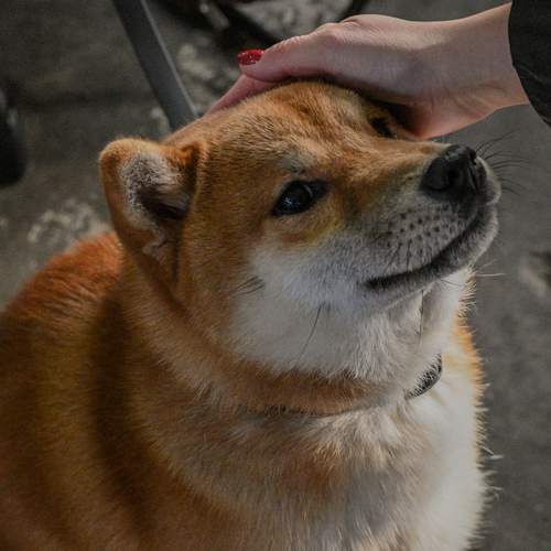 Photo #13356878