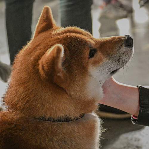 Photo #13356882