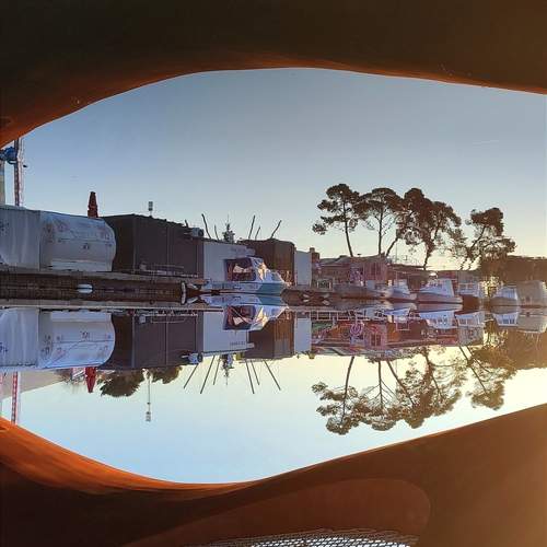 Photo #13357069
