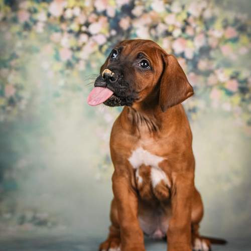 Photo #13357095