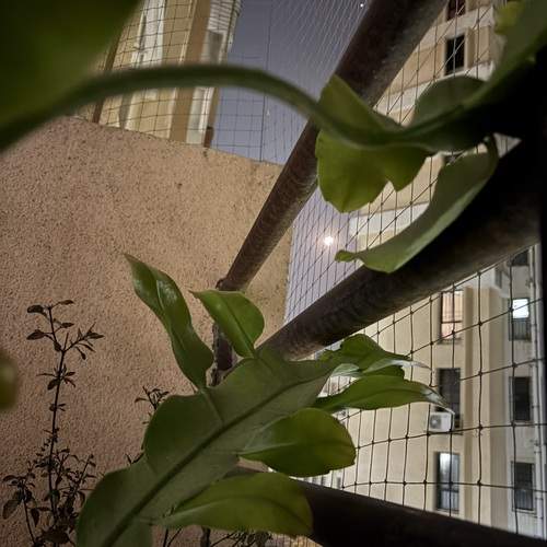Photo #13357296