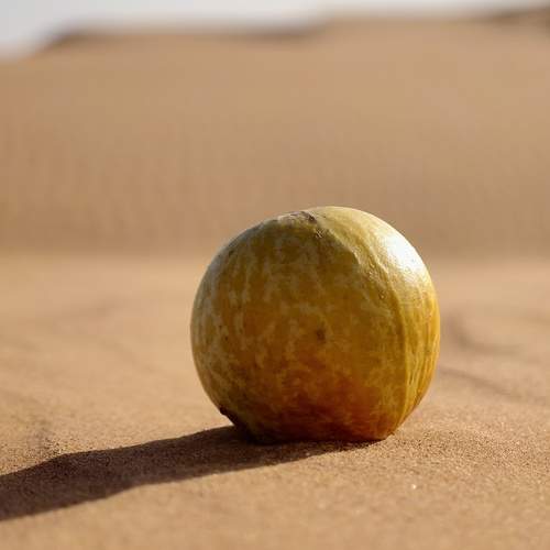 Photo #13357529
