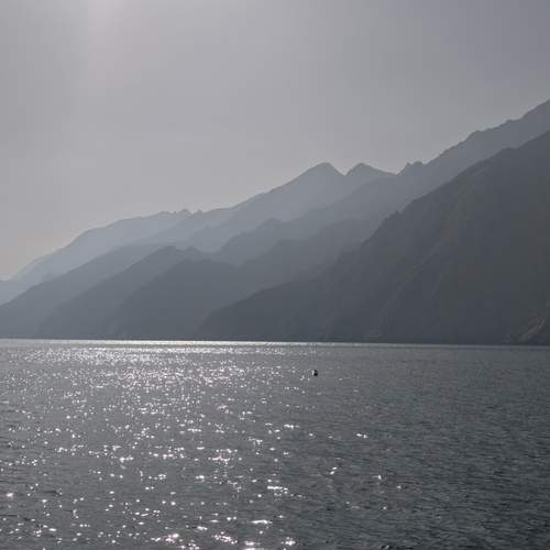 Photo #13357530