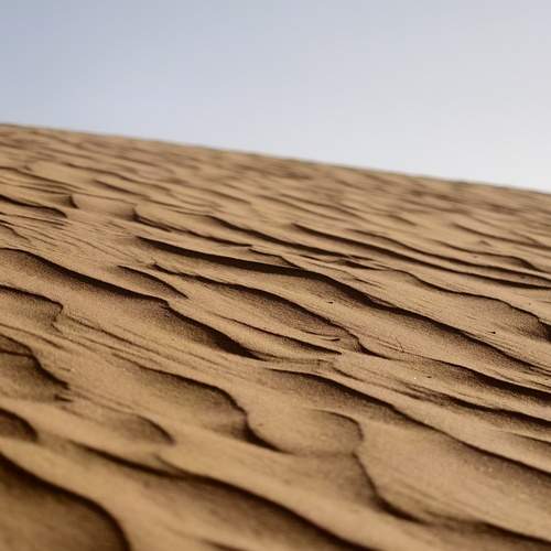 Photo #13357537