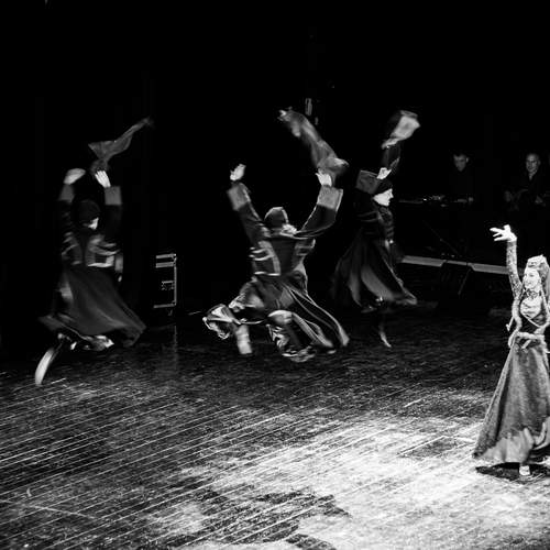 Photo #13357541