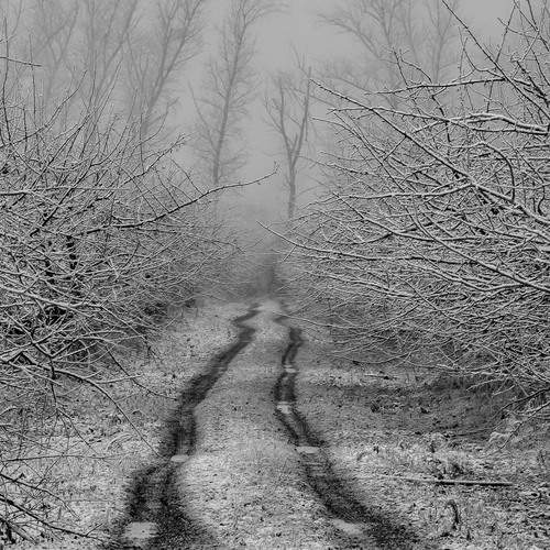 Photo #13357547
