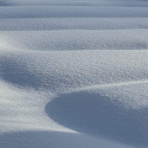 Фотография #13357690