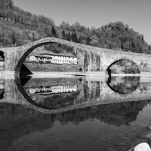 Photo #13357826