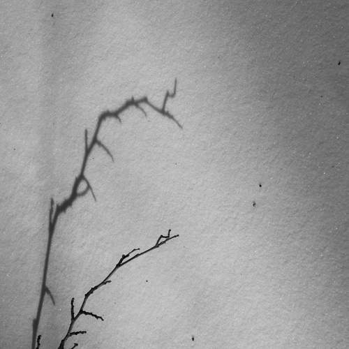 Photo #13357834