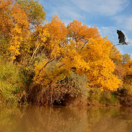 Photo #13357904
