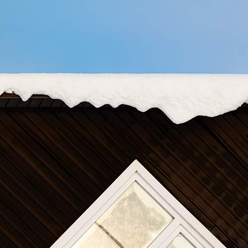 Photo #13357968