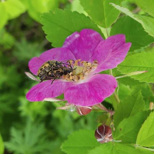 Photo #13358273