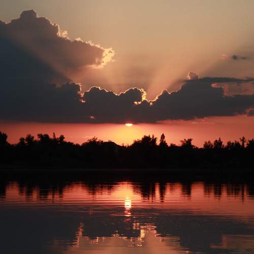 Photo #13358279