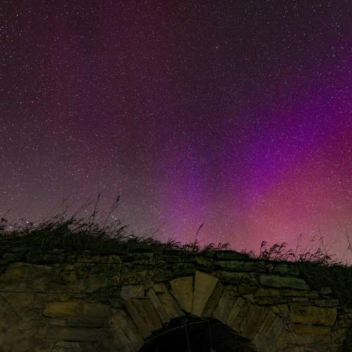 Photo #13358280