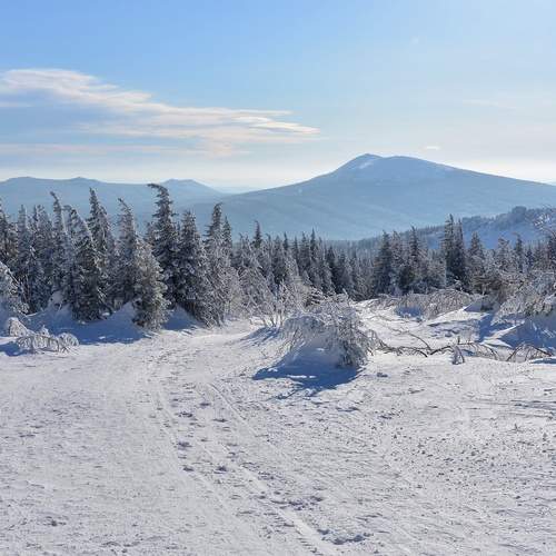 Photo #13358297