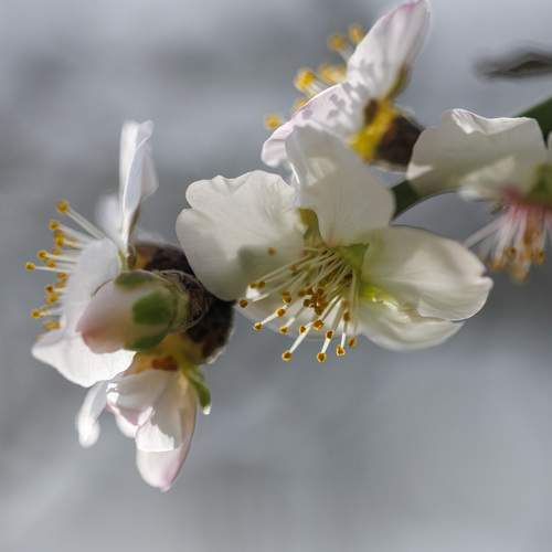 Весна идёт....