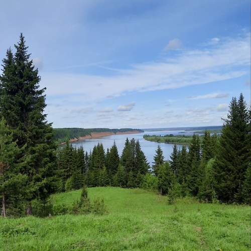 Photo #13358368
