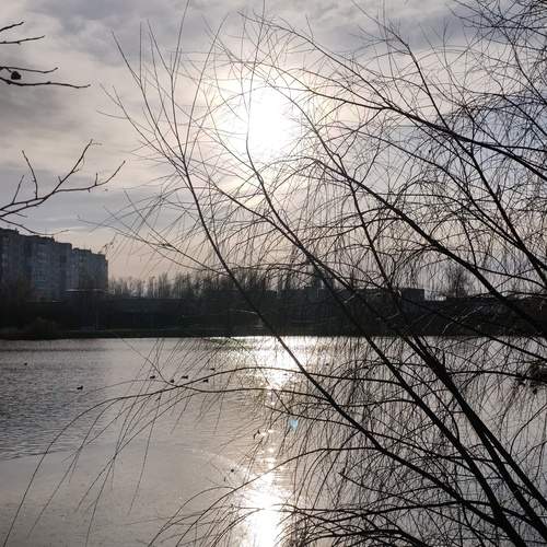 Photo #13358373